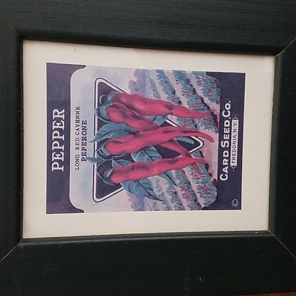 Vintage framed seed pack label art 2 pc New York - Picture 3 of 4